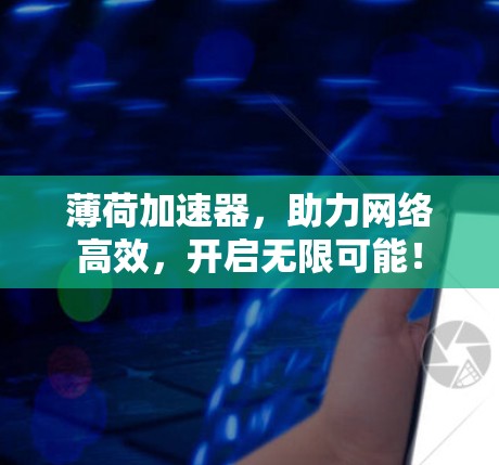 薄荷加速器，助力网络高效，开启无限可能！