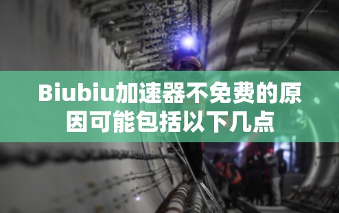Biubiu加速器不免费的原因可能包括以下几点