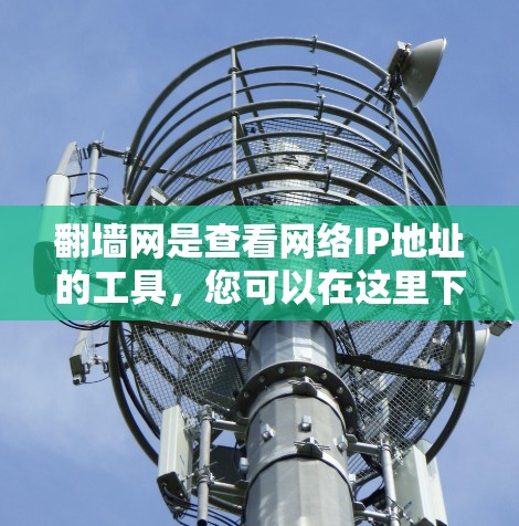 翻墙网是查看网络IP地址的工具，您可以在这里下载并使用以下软件来管理网络和计算机设置。这些软件包括杀毒软件、网络管理工具、社交软件和邮件工具等，适合个人和企业用户。以下是推荐的几种软件
