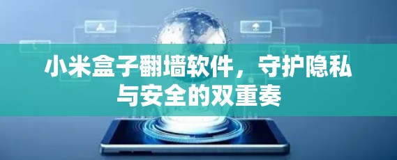 小米盒子翻墙软件，守护隐私与安全的双重奏