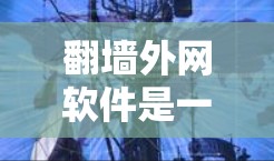 翻墙外网软件是一些允许你将外网的流量用于访问内网资源的软件。这些软件通常允许你下载、观看或分享内网资源，例如视频、文档、电子书等。以下是几个免费的翻墙外网软件推荐