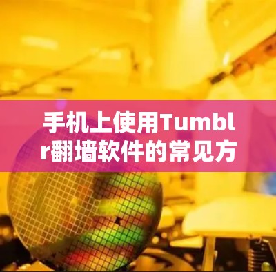 手机上使用Tumblr翻墙软件的常见方式如下