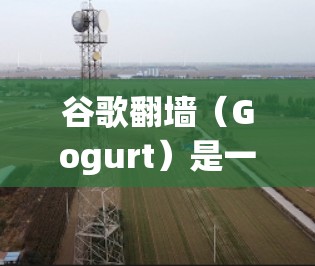 谷歌翻墙（Gogurt）是一种通过证书访问特定网站的技术工具，旨在为用户提供访问权限，尽管它可能对安全有所限制。以下是关于谷歌翻墙的详细信息