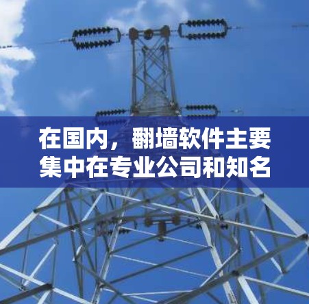 在国内,翻墙软件主要集中在专业公司和知名品牌之间,以保护用户隐私、防止网络攻击和恶意软件的传播。以下是国内知名手机翻墙软件的排行 在国内,翻墙软件主要集中在专业公司和知名品牌之间,以保护用户隐私、防止网络攻击和恶意软件的传播。以下是国内知名手机翻墙软件的排行