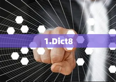 1.Dict8