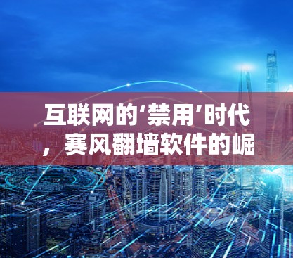 互联网的‘禁用’时代，赛风翻墙软件的崛起与未来展望