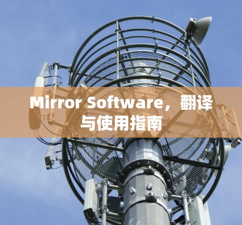 Mirror Software，翻译与使用指南