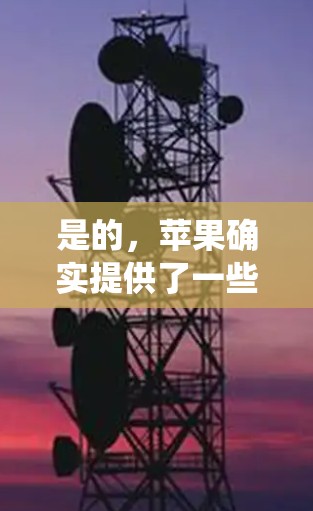 是的，苹果确实提供了一些速度快且支持绕过内部网络的软件，这些软件通常称为翻墙软件或绕过防火墙的工具。以下是几种常见的解决方案