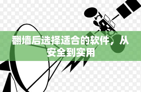 翻墙后选择适合的软件，从安全到实用