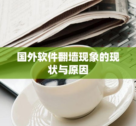 国外软件翻墙现象的现状与原因 国外软件翻墙现象的现状与原因