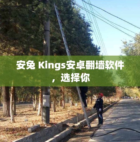 安兔 Kings安卓翻墙软件，选择你