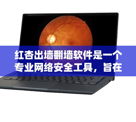 红杏出墙翻墙软件是一个专业网络安全工具，旨在帮助用户手动访问和恢复内部系统和外部网站，从而维护网络环境的安全。以下是关于该软件的详细信息