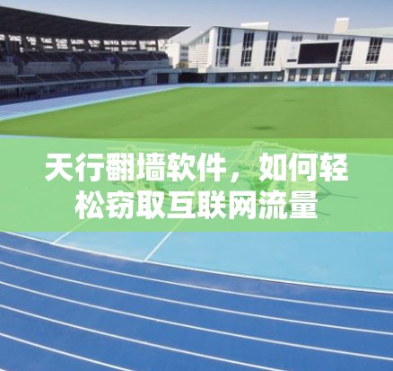 天行翻墙软件，如何轻松窃取互联网流量