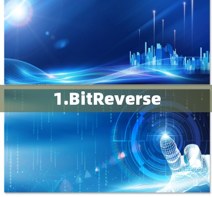 1.BitReverse