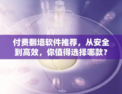 付费翻墙软件推荐，从安全到高效，你值得选择哪款？