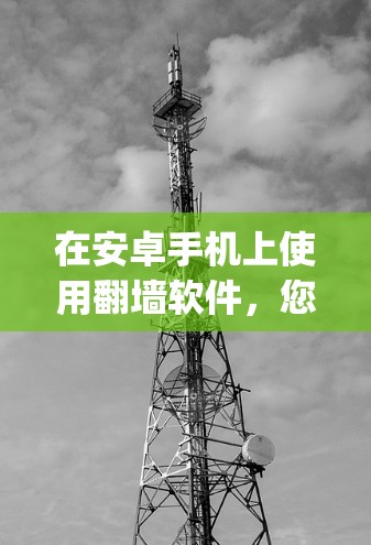 在安卓手机上使用翻墙软件，您可以选择以下几种基于Netty协议的解决方案