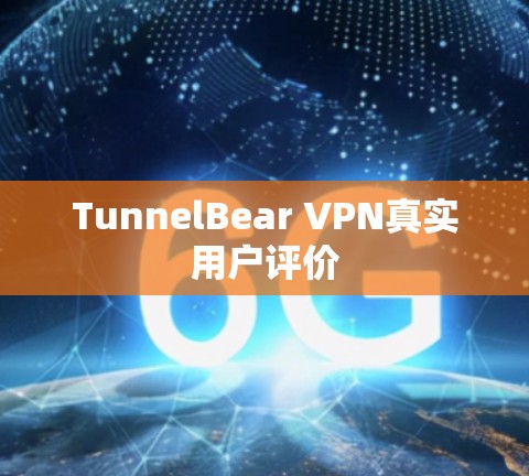TunnelBear VPN真实用户评价