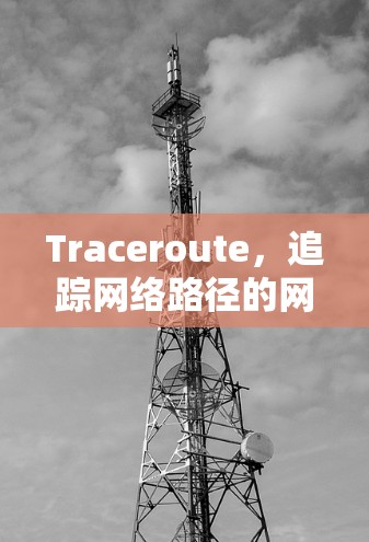Traceroute，追踪网络路径的网络管理工具