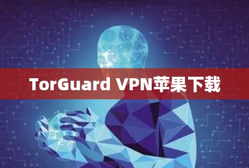 TorGuard VPN苹果下载