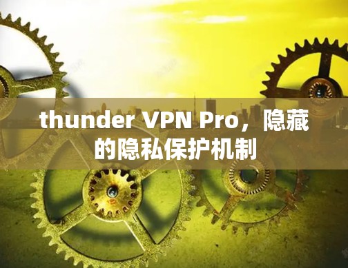 thunder VPN Pro，隐藏的隐私保护机制