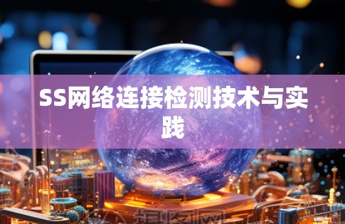 SS网络连接检测技术与实践