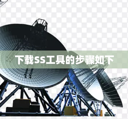 下载SS工具的步骤如下