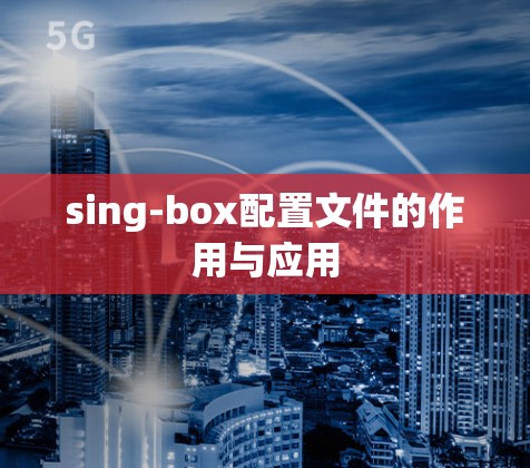 sing-box配置文件的作用与应用