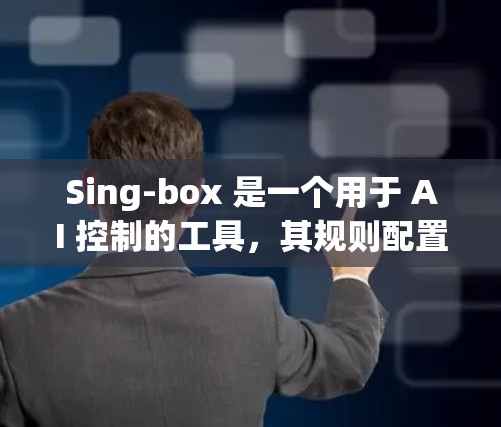 Sing-box 是一个用于 AI 控制的工具，其规则配置是其功能的核心部分。以下是对Sing-box规则配置的详细步骤和建议