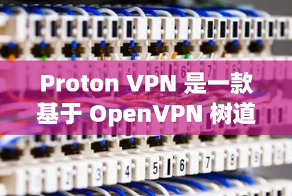 Proton VPN 是一款基于 OpenVPN 树道协议的VPN 共享网络服务，旨在为用户提供安全、可靠的VPN连接。关于 Proton VPN 的速度测试和线路排行，以下是一些关键点和建议