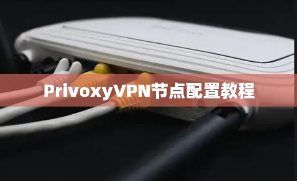 PrivoxyVPN节点配置教程