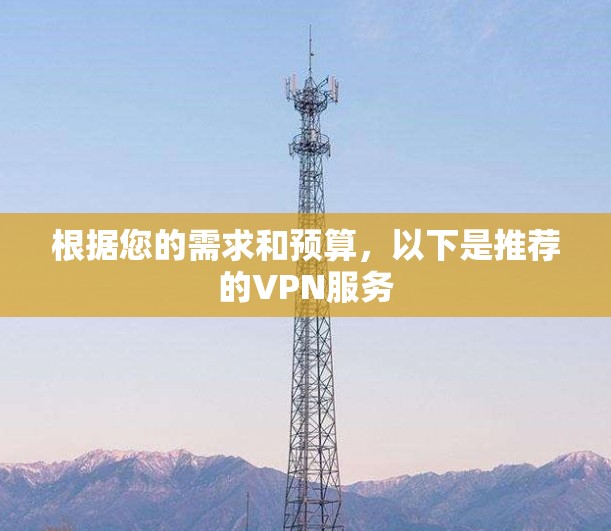 根据您的需求和预算，以下是推荐的VPN服务
