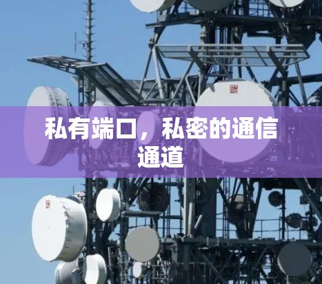 私有端口，私密的通信通道