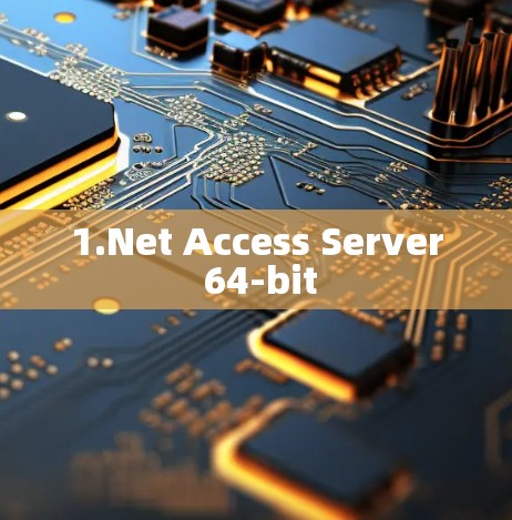 1.Net Access Server 64-bit