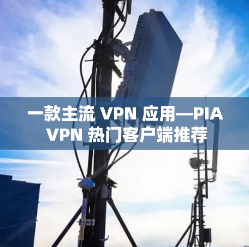 一款主流 VPN 应用—PIA VPN 热门客户端推荐