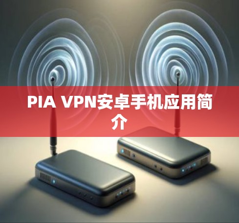PIA VPN安卓手机应用简介