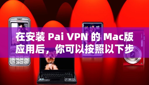 在安装 Pai VPN 的 Mac版应用后，你可以按照以下步骤完成安装