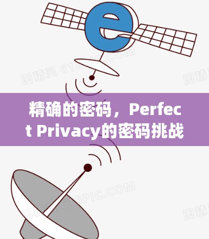 精确的密码，Perfect Privacy的密码挑战