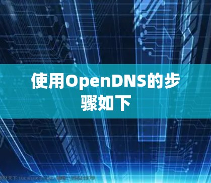 使用OpenDNS的步骤如下
