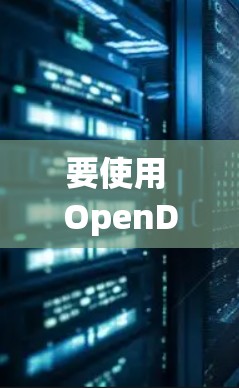 要使用 OpenDNS 进行配置，您可以按照以下步骤操作