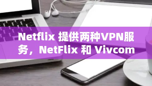Netflix 提供两种VPN服务，NetFlix 和 Vivcom。以下是对这两种服务的详细介绍，帮助您做出明智的选择