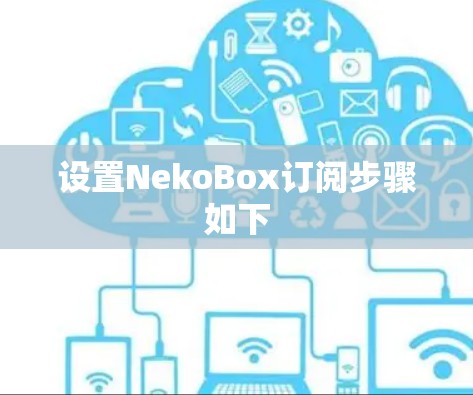 设置NekoBox订阅步骤如下