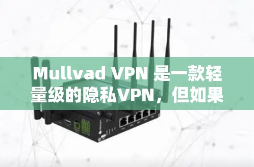Mullvad VPN 是一款轻量级的隐私VPN，但如果你已经使用了它，可能需要寻找替代方案。以下是一些其他隐私VPN的替代方案，涵盖了不同类型的 VPN，适合不同用户场景
