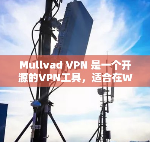 Mullvad VPN 是一个开源的VPN工具，适合在Web浏览器中使用。以下是一步一步的使用指南