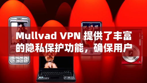 Mullvad VPN 提供了丰富的隐私保护功能，确保用户的数据在传输过程中无法被泄露或窃取。以下是其隐私保护功能的详细说明