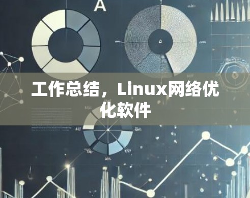 工作总结，Linux网络优化软件