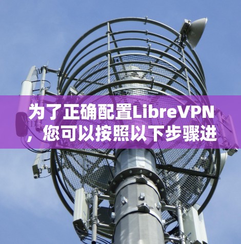 为了正确配置LibreVPN，您可以按照以下步骤进行操作