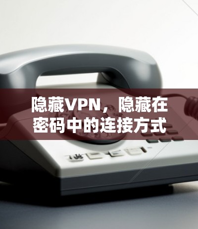 隐藏VPN，隐藏在密码中的连接方式